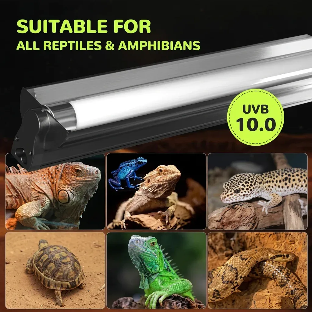 Uva Uvb Vivarium Light Explained: A UK Buyer's Guide